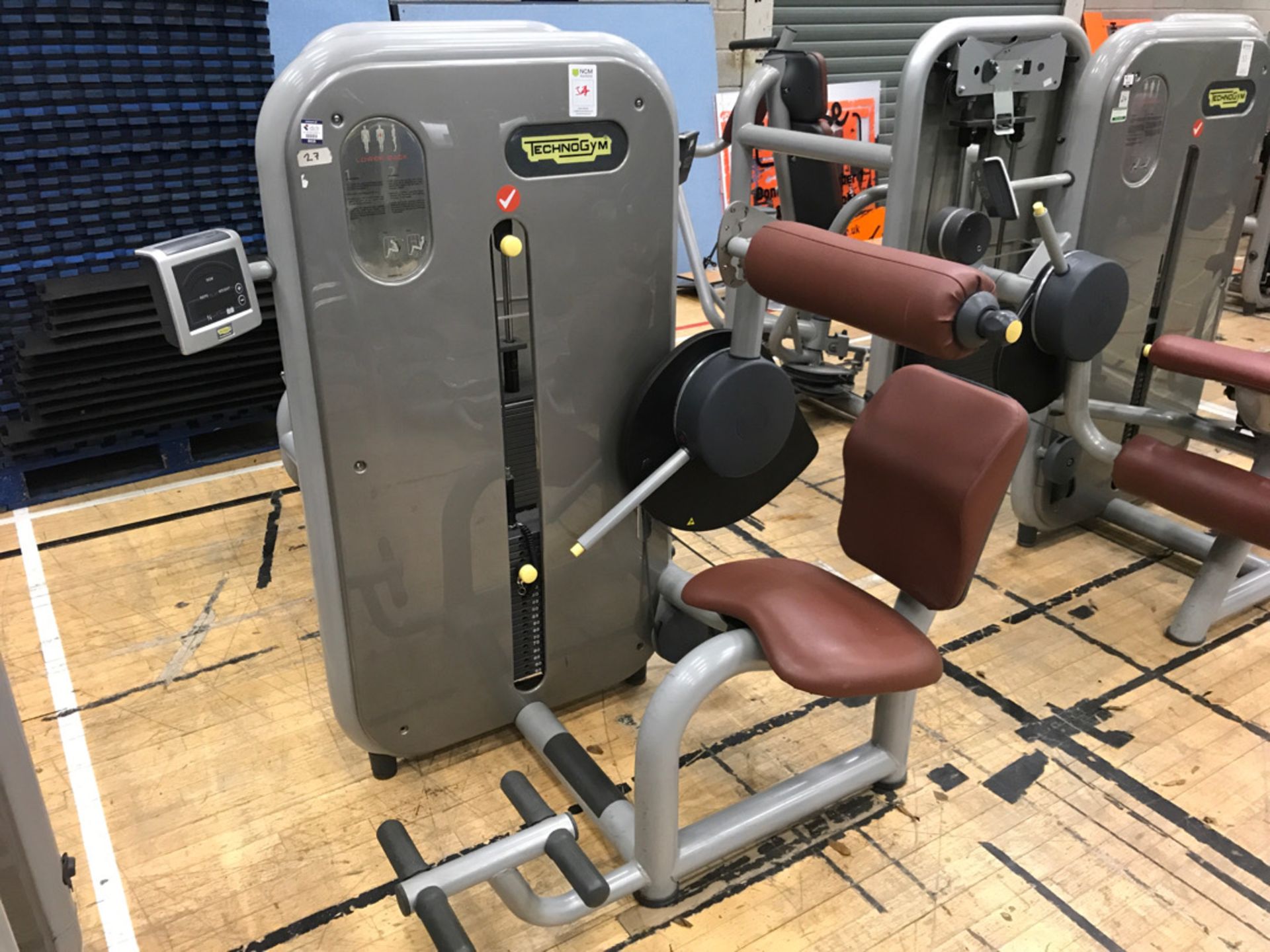 Technogym Lower back machine