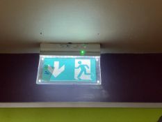 Illuminated Fire Exit Sign