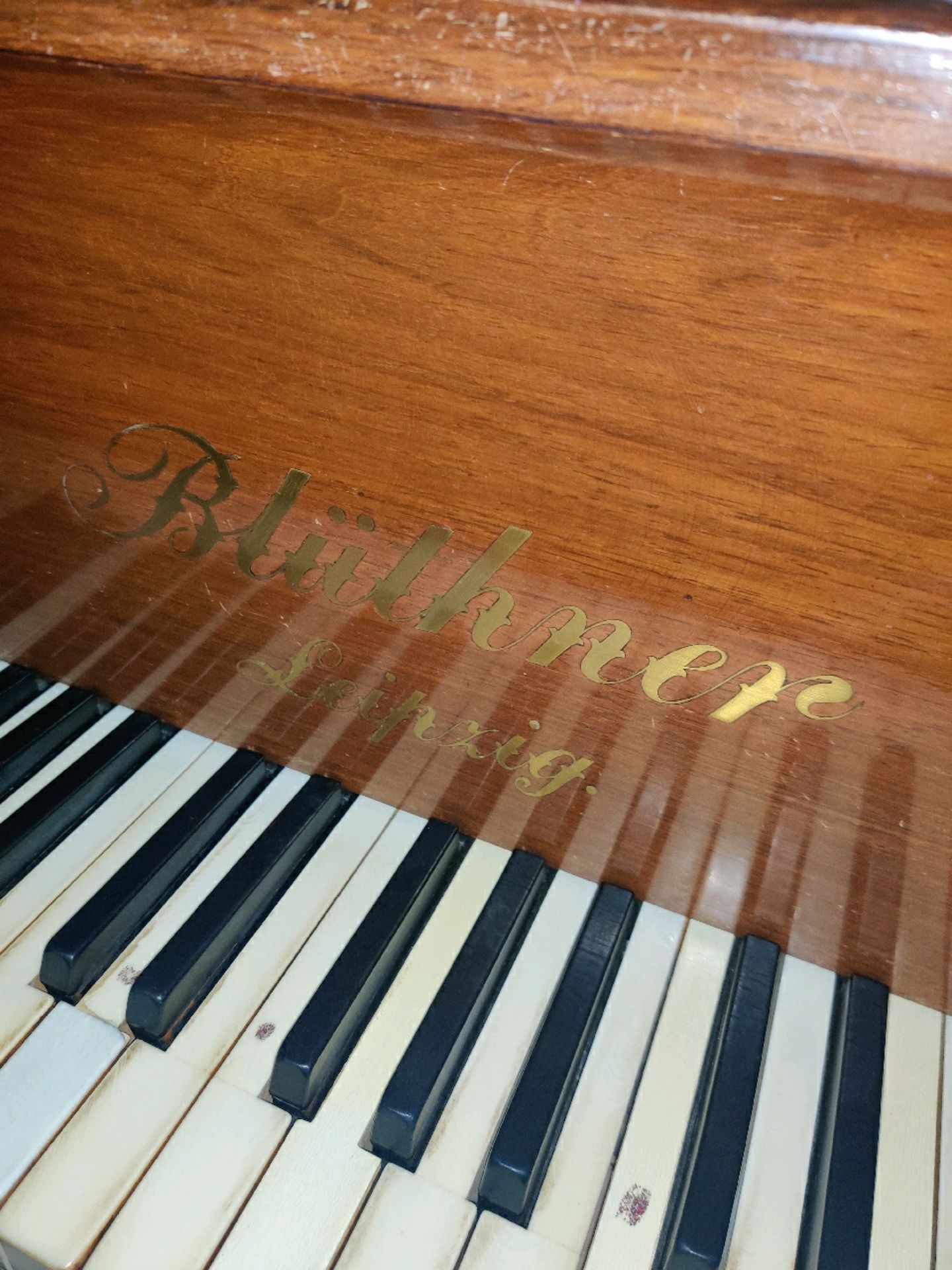 Bluthner Grand piano - Image 9 of 10