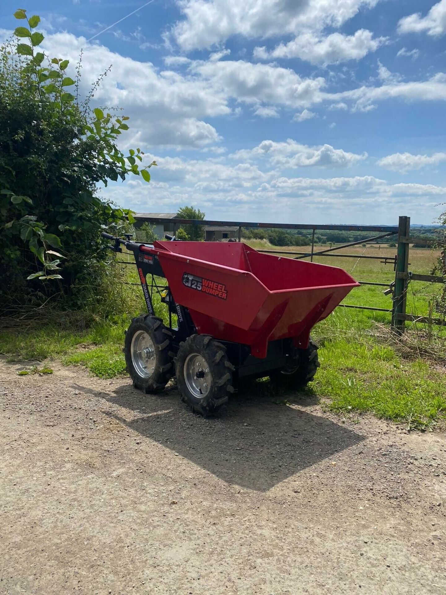 4WD Self Propelled Walk Behind Petrol Mini Dumper - Image 2 of 8