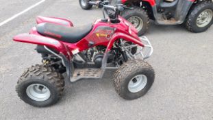 Childs quad bike