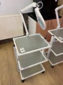 Mobile Metal Framed Glass Trolley & Magnifying Lam