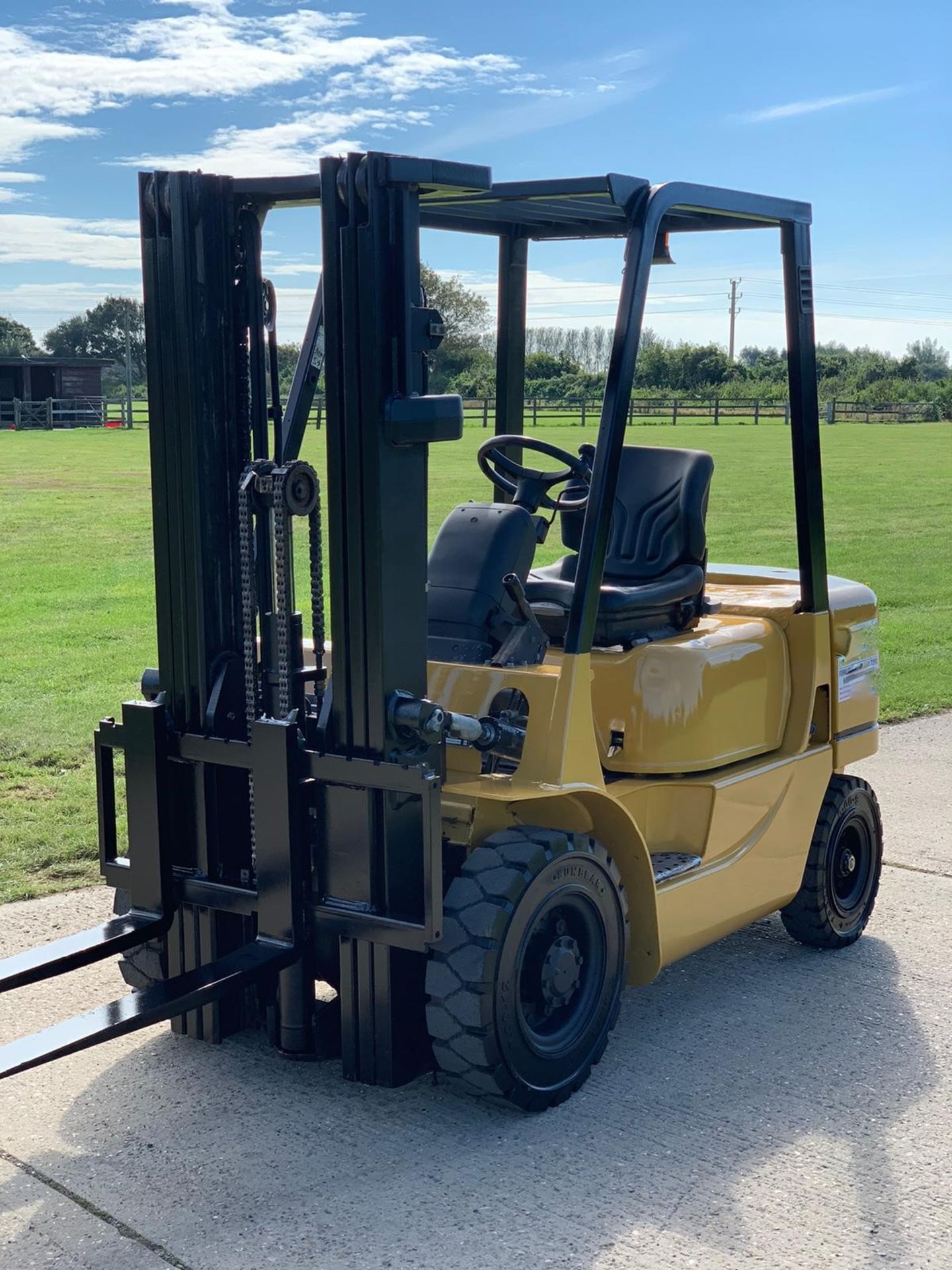 Caterpillar 2.5 Tonne Diesel Container Spec Forklift - Image 2 of 4