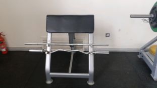 Preacher curl stand