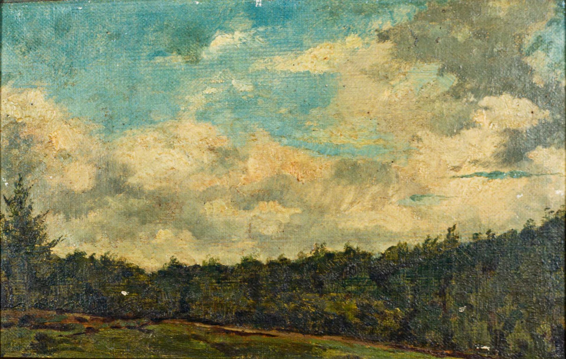 "Waldrand mit hohem Himmel" - Landschaftsgemälde, Öl auf Leinwand, ca. 21 x 33 - Image 3 of 5