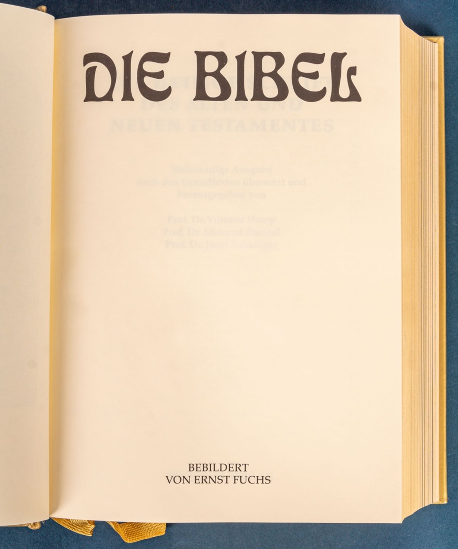 Limitierte von "ERNST FUCHS" bebilderte Pracht-Bibel im orig. Präsentetui, No 2 - Image 17 of 22