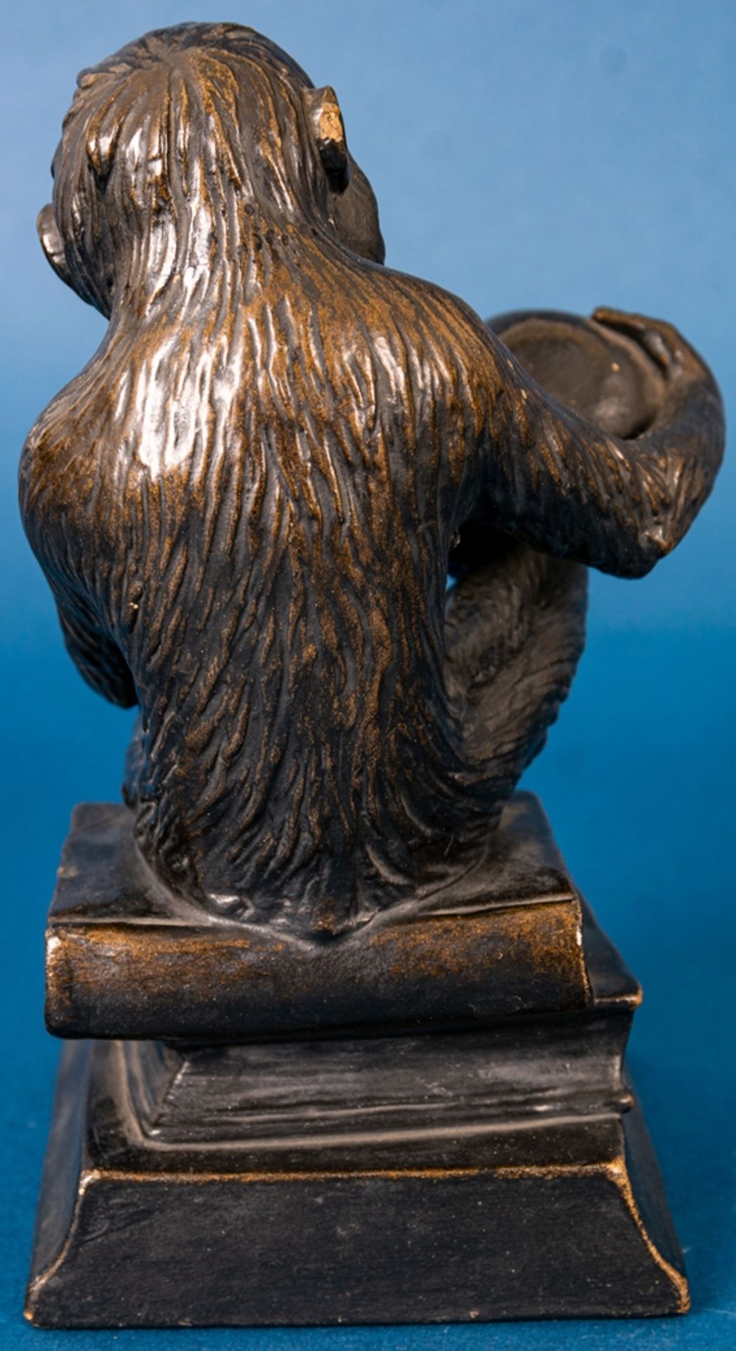 "DARWIN" - sitzender Affe, sich einen menschlichen Schädel nachdenklich betrach - Image 6 of 14