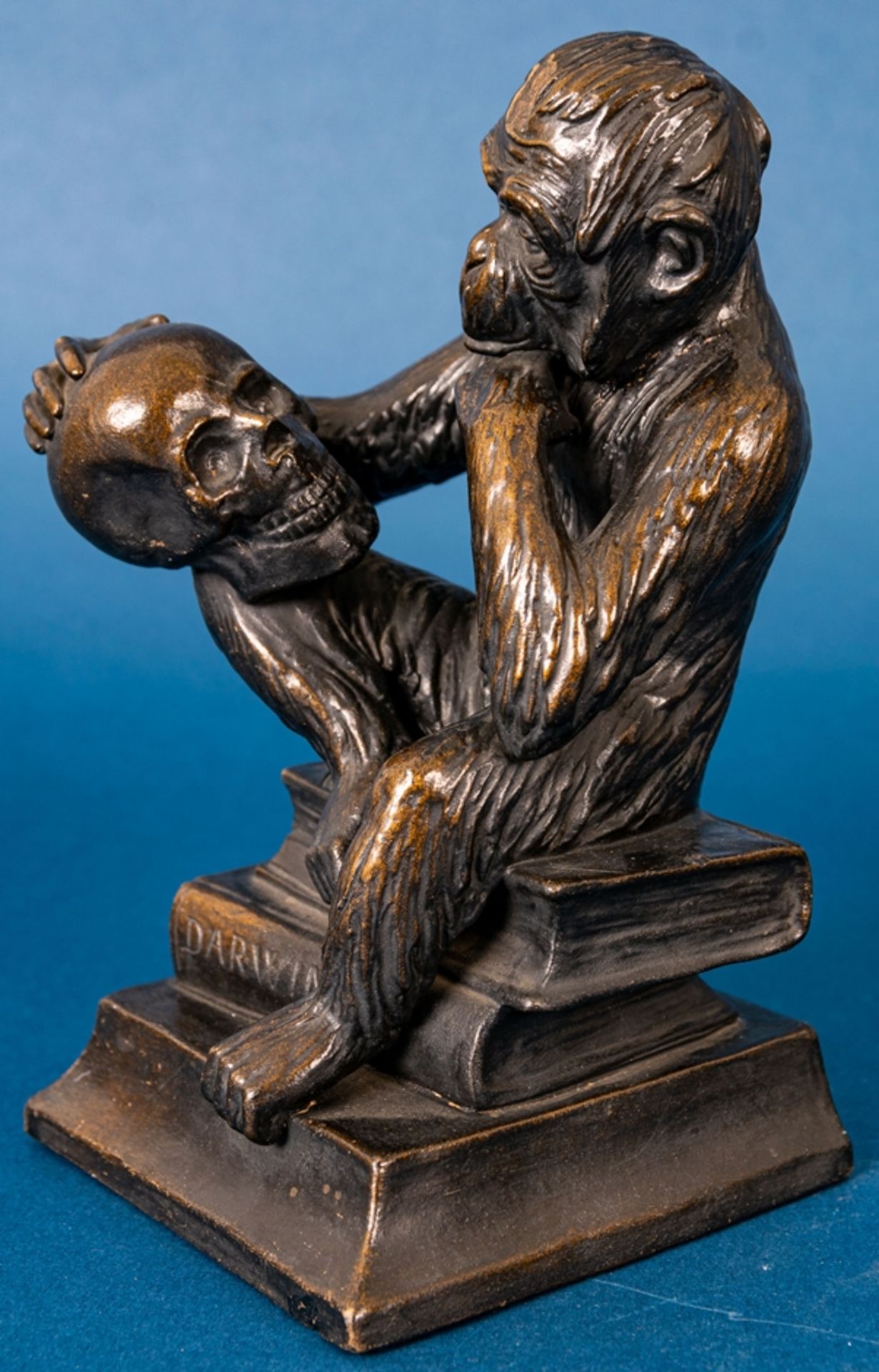 "DARWIN" - sitzender Affe, sich einen menschlichen Schädel nachdenklich betrach