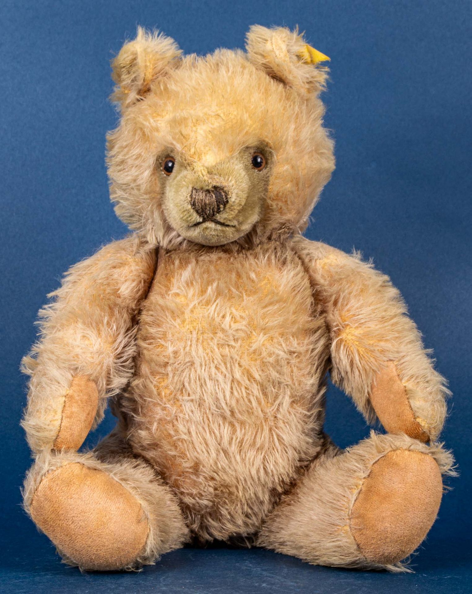 Alter STEIFF - TEDDY, gelblicher Mohairplüsch, wohl 1950er Jahre, Höhe ca. 40 c