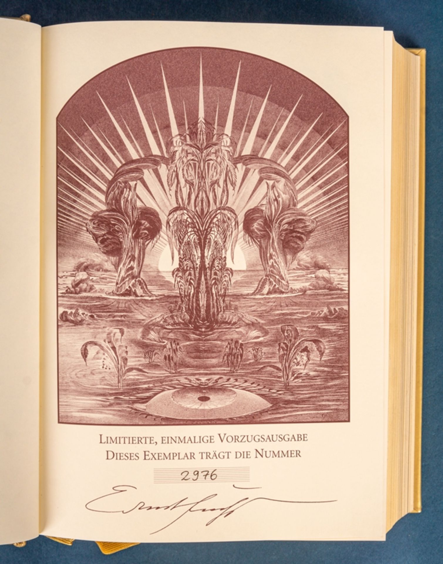 Limitierte von "ERNST FUCHS" bebilderte Pracht-Bibel im orig. Präsentetui, No 2 - Image 16 of 22