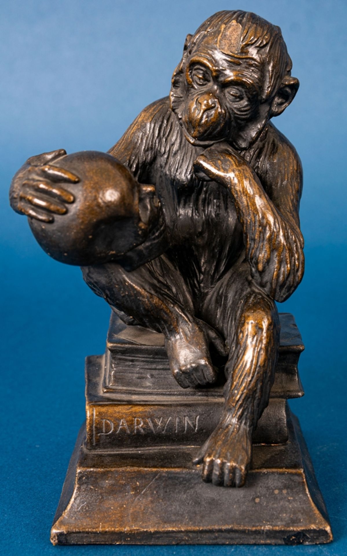 "DARWIN" - sitzender Affe, sich einen menschlichen Schädel nachdenklich betrach - Bild 2 aus 14