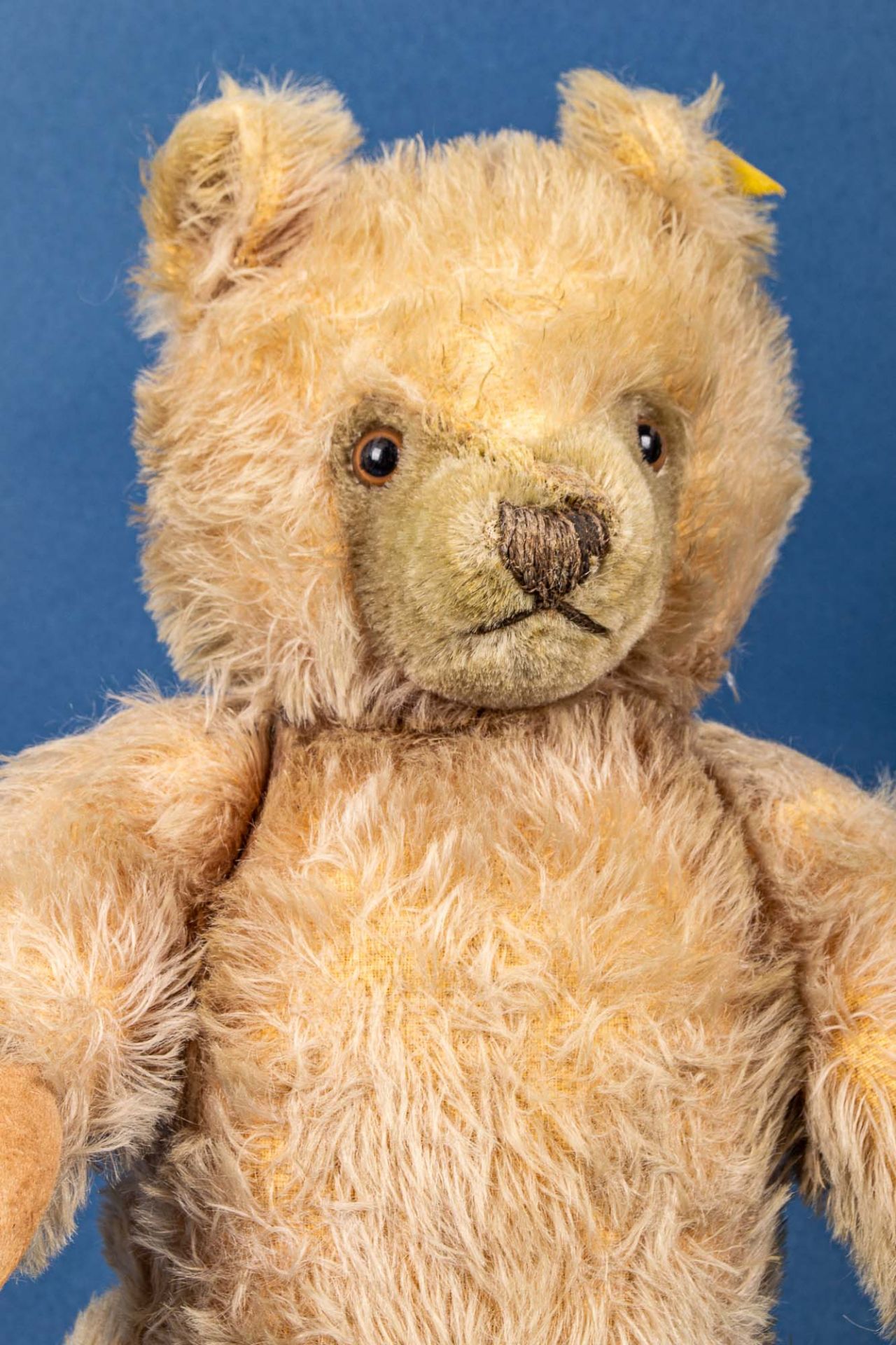 Alter STEIFF - TEDDY, gelblicher Mohairplüsch, wohl 1950er Jahre, Höhe ca. 40 c - Image 5 of 6