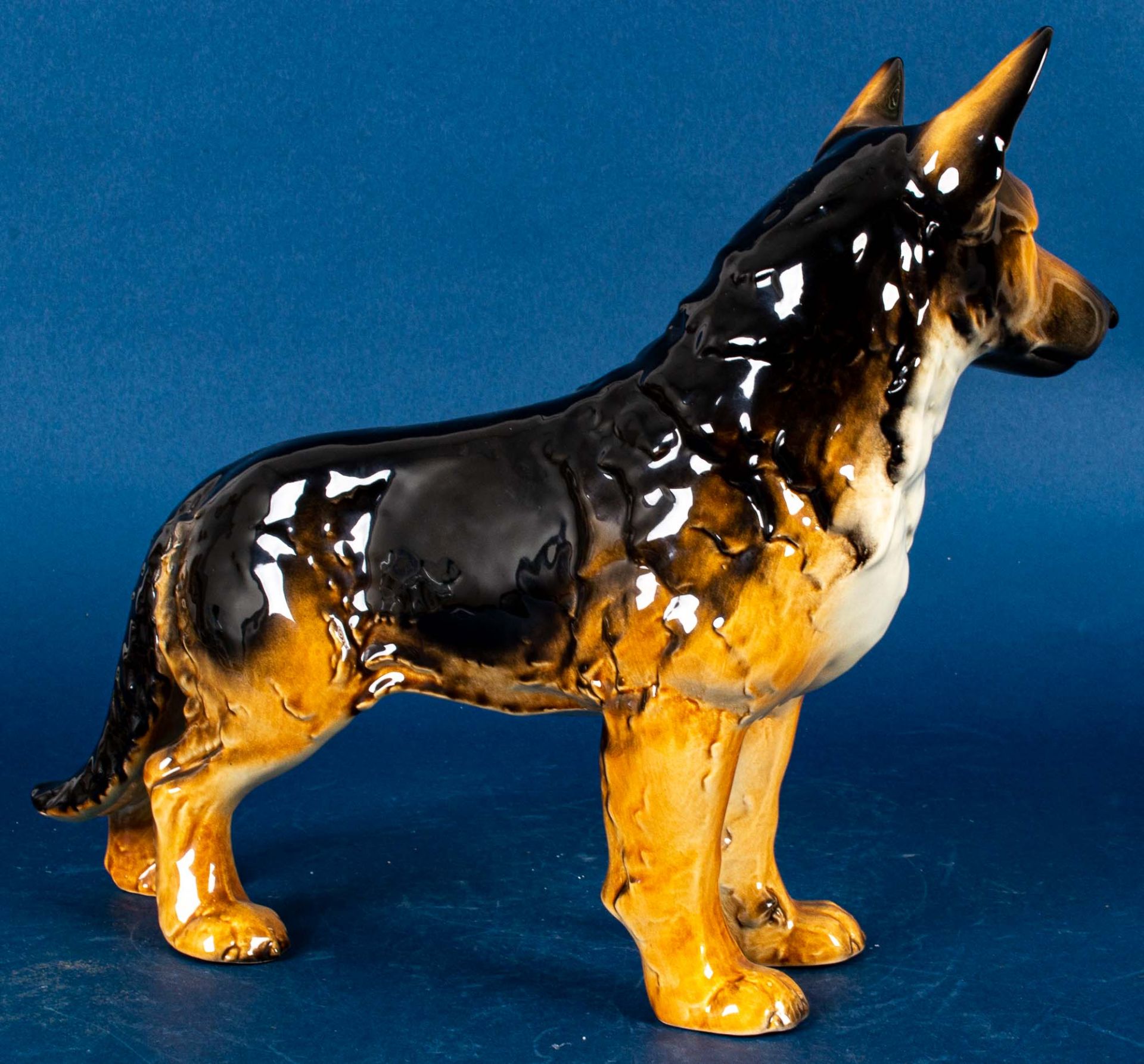 "Schäferhund", Goebel, polychrom bemaltes Porzellan, ca. 27 x 30 cm. - Bild 3 aus 7