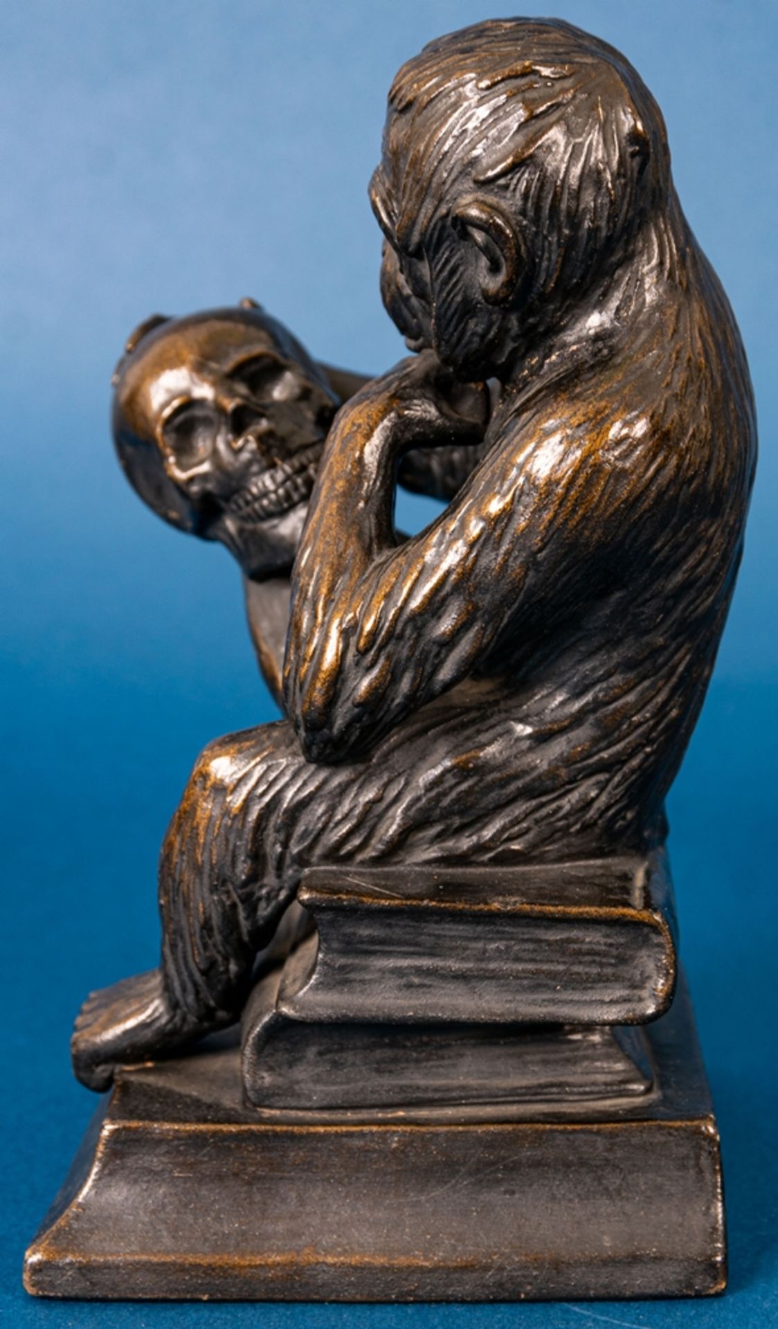"DARWIN" - sitzender Affe, sich einen menschlichen Schädel nachdenklich betrach - Bild 8 aus 14