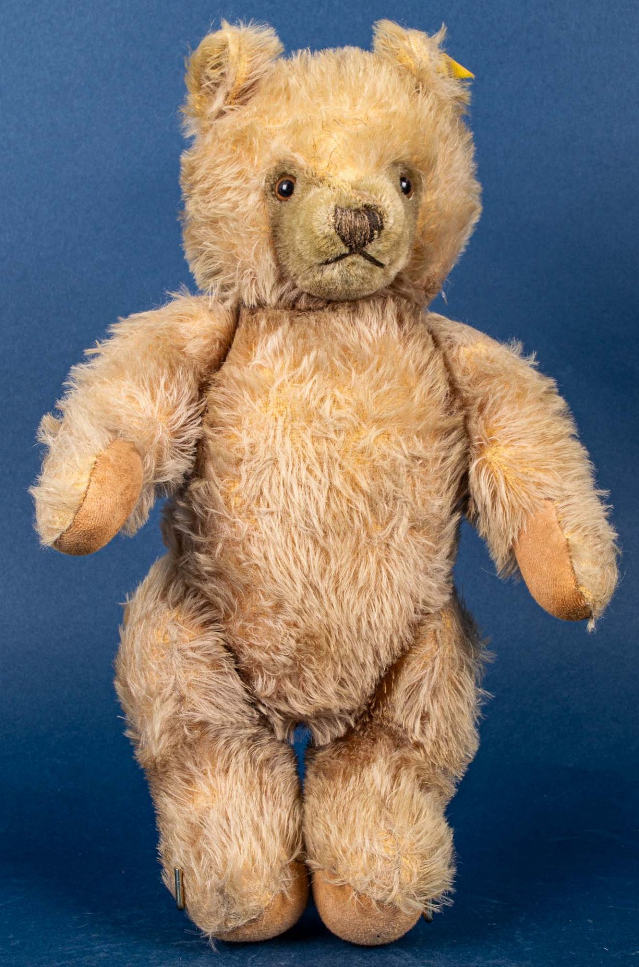 Alter STEIFF - TEDDY, gelblicher Mohairplüsch, wohl 1950er Jahre, Höhe ca. 40 c - Image 4 of 6