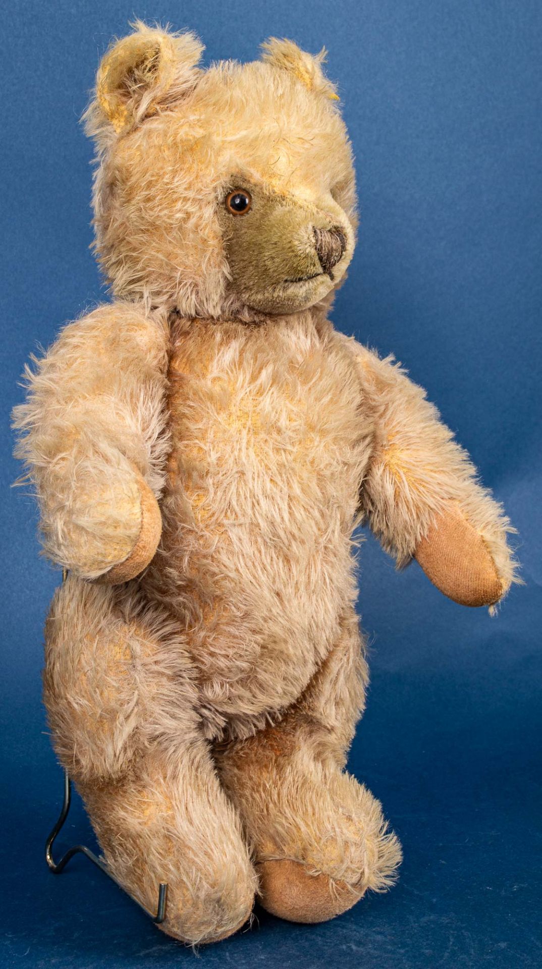 Alter STEIFF - TEDDY, gelblicher Mohairplüsch, wohl 1950er Jahre, Höhe ca. 40 c - Image 3 of 6