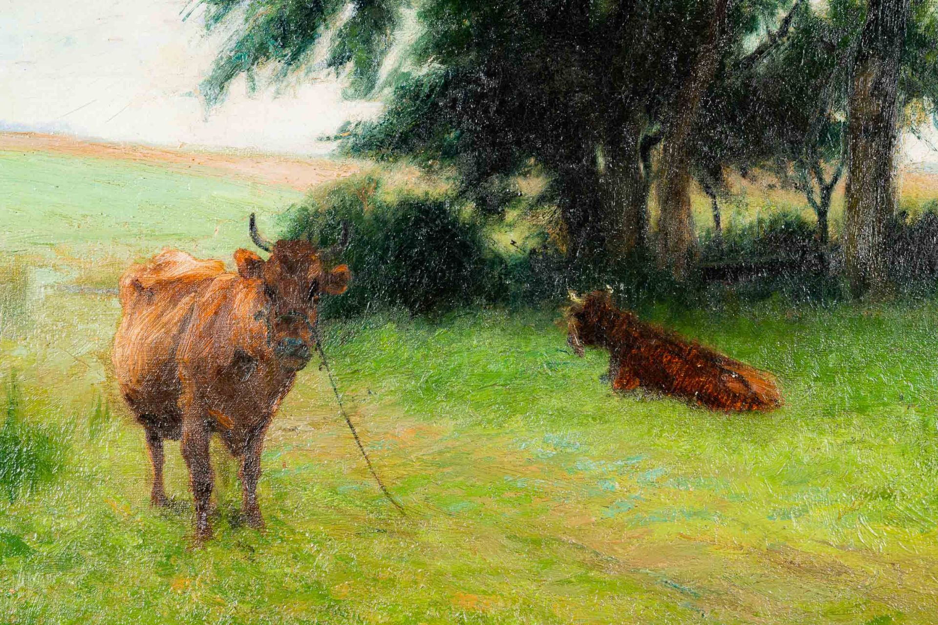 "Sommerliche Landschaft mit Kühen", Gemälde Öl auf Leinwand, ca. 55 x 63 cm, un - Bild 3 aus 16