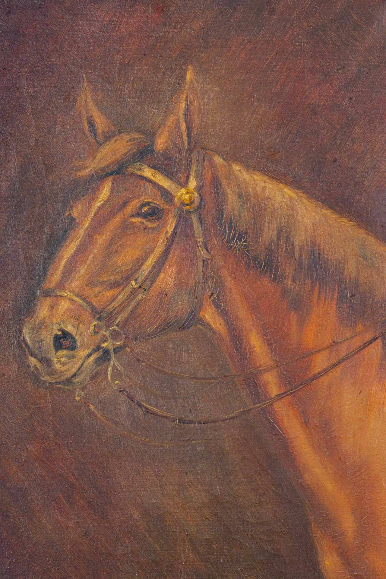 Pferdeportrait, Gemälde, Öl auf Leinwand, ca. 40 x 30 cm, unten rechts signiert: A. Wollenberg d. F - Image 2 of 5