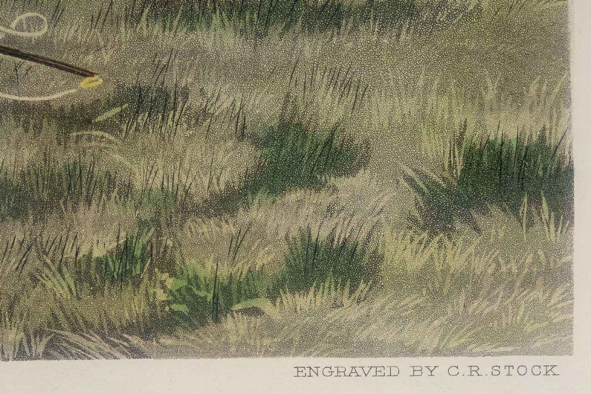 Folge von 3 hinter Glas gerahmten dekorativen kolorierten, englischen Lithographien des späten 19.  - Bild 10 aus 14