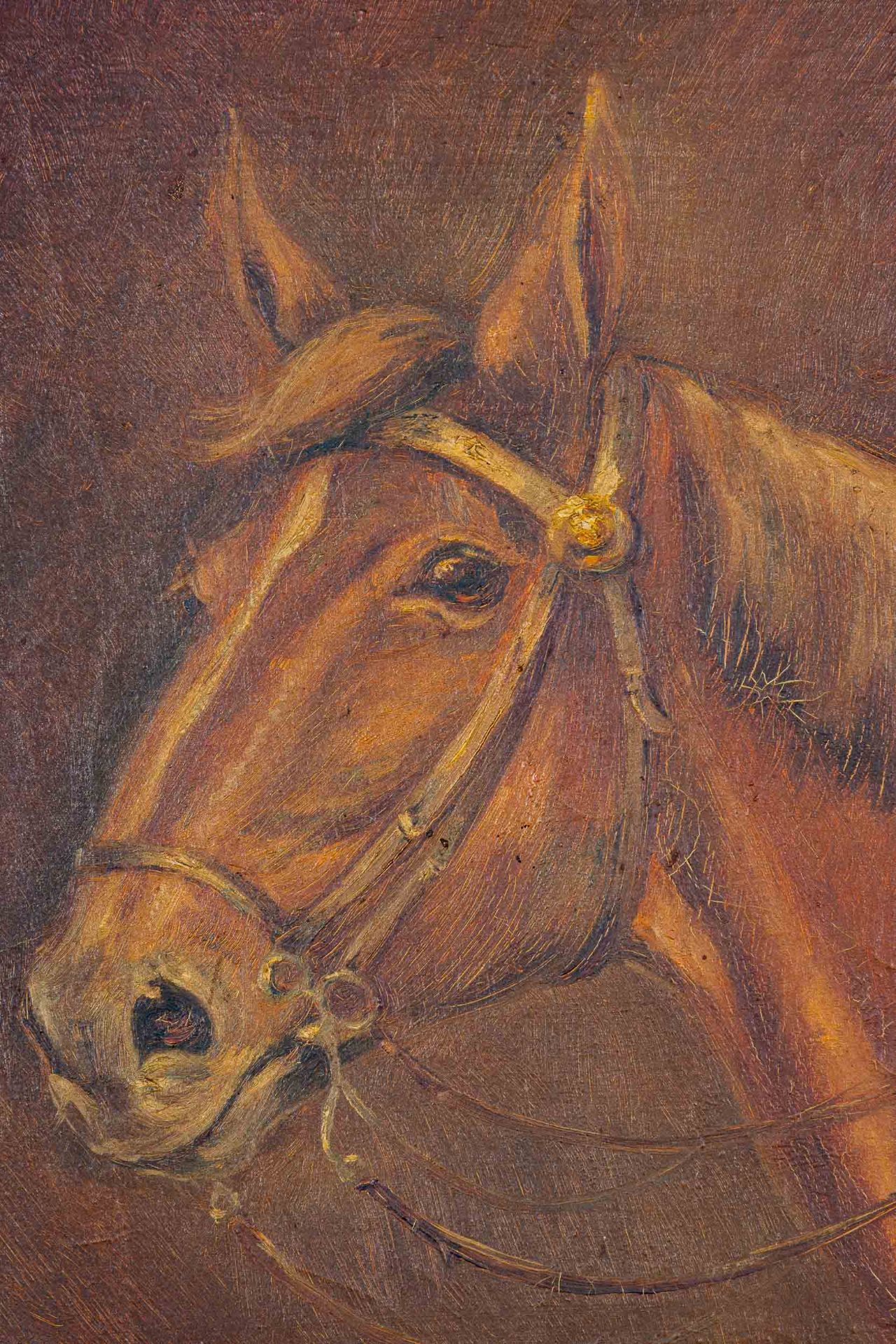 Pferdeportrait, Gemälde, Öl auf Leinwand, ca. 40 x 30 cm, unten rechts signiert: A. Wollenberg d. F - Image 3 of 5