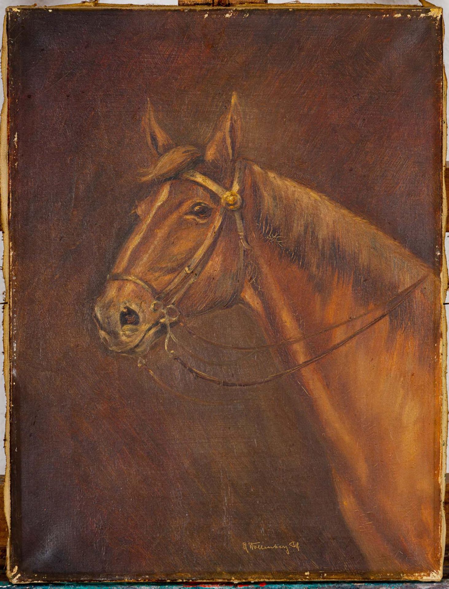 Pferdeportrait, Gemälde, Öl auf Leinwand, ca. 40 x 30 cm, unten rechts signiert: A. Wollenberg d. F