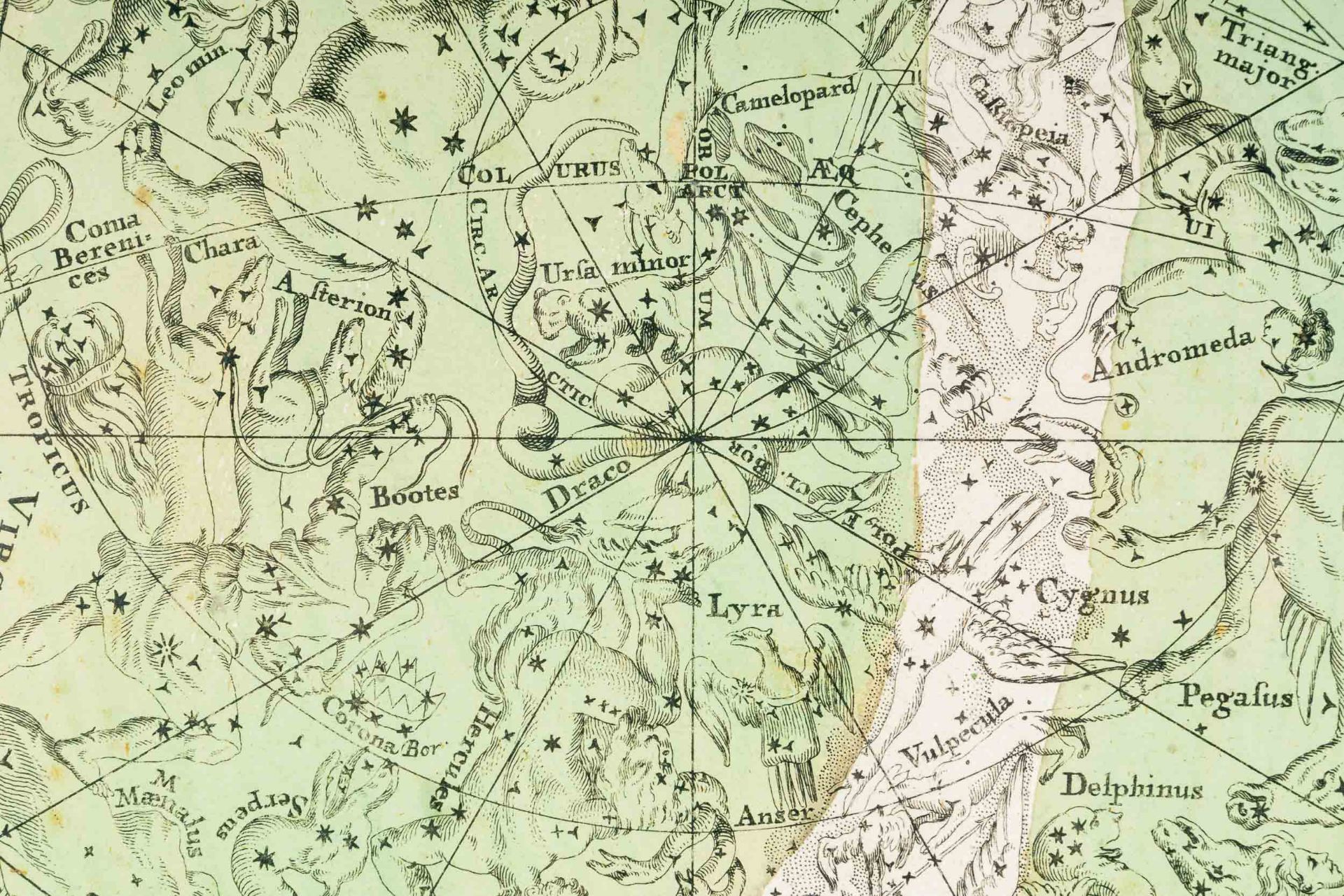 "Planispherium Coeleste" - Augsburg um 1730/ 40. Handkolorierte Doppel - Hemisphären Karte mit den - Image 13 of 17