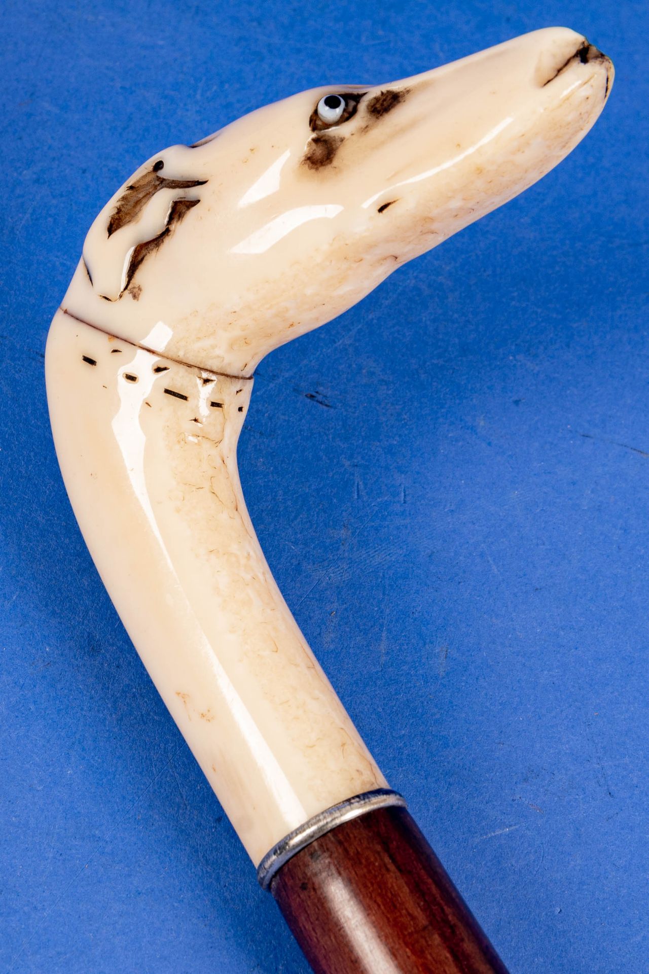 Antiker Spazierstock, Griffstück in Walross-Elfenbein in Form eines Windhund-Kopfes (2teilig) mit e - Image 11 of 12