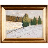 "Winterliche Waldlandschaft", Gemälde auf Platte, ca. 36 x 46 cm, unten rechts ligiert/signiert: H.