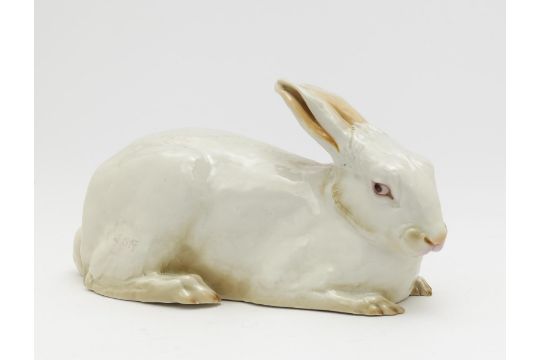 A lying rabbit