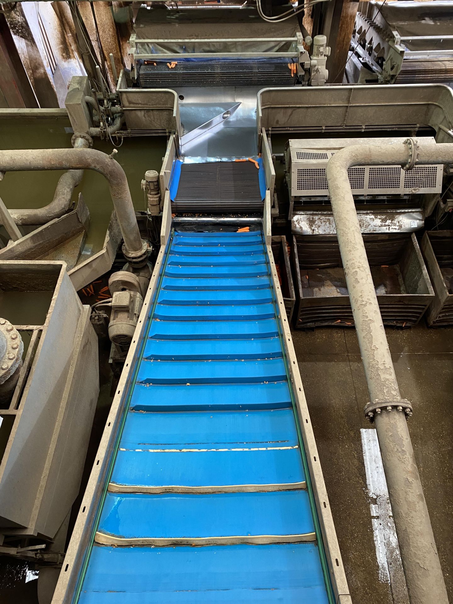 Stainless Steel Elevated Conveyor