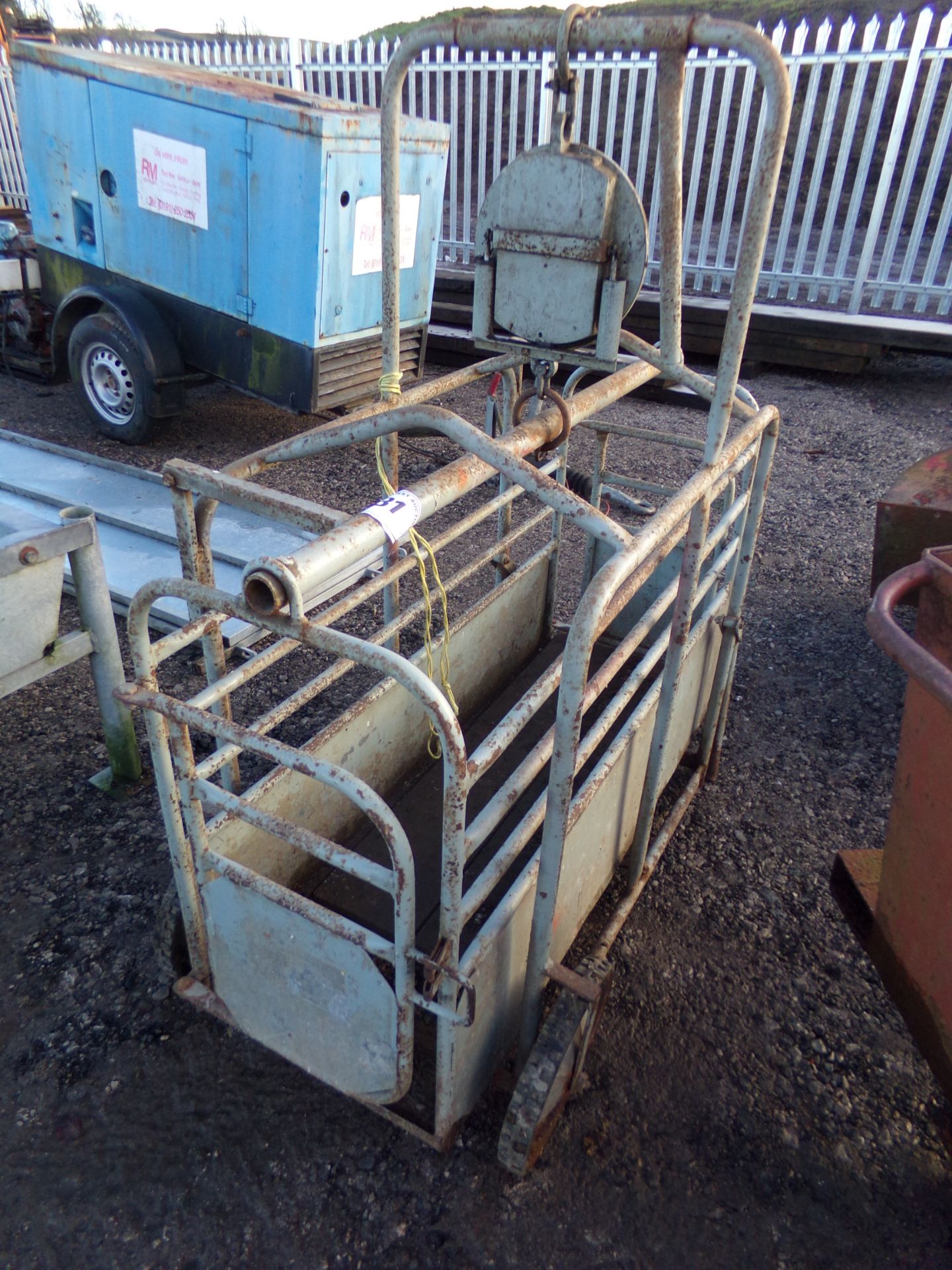 LAMB WEIGHER