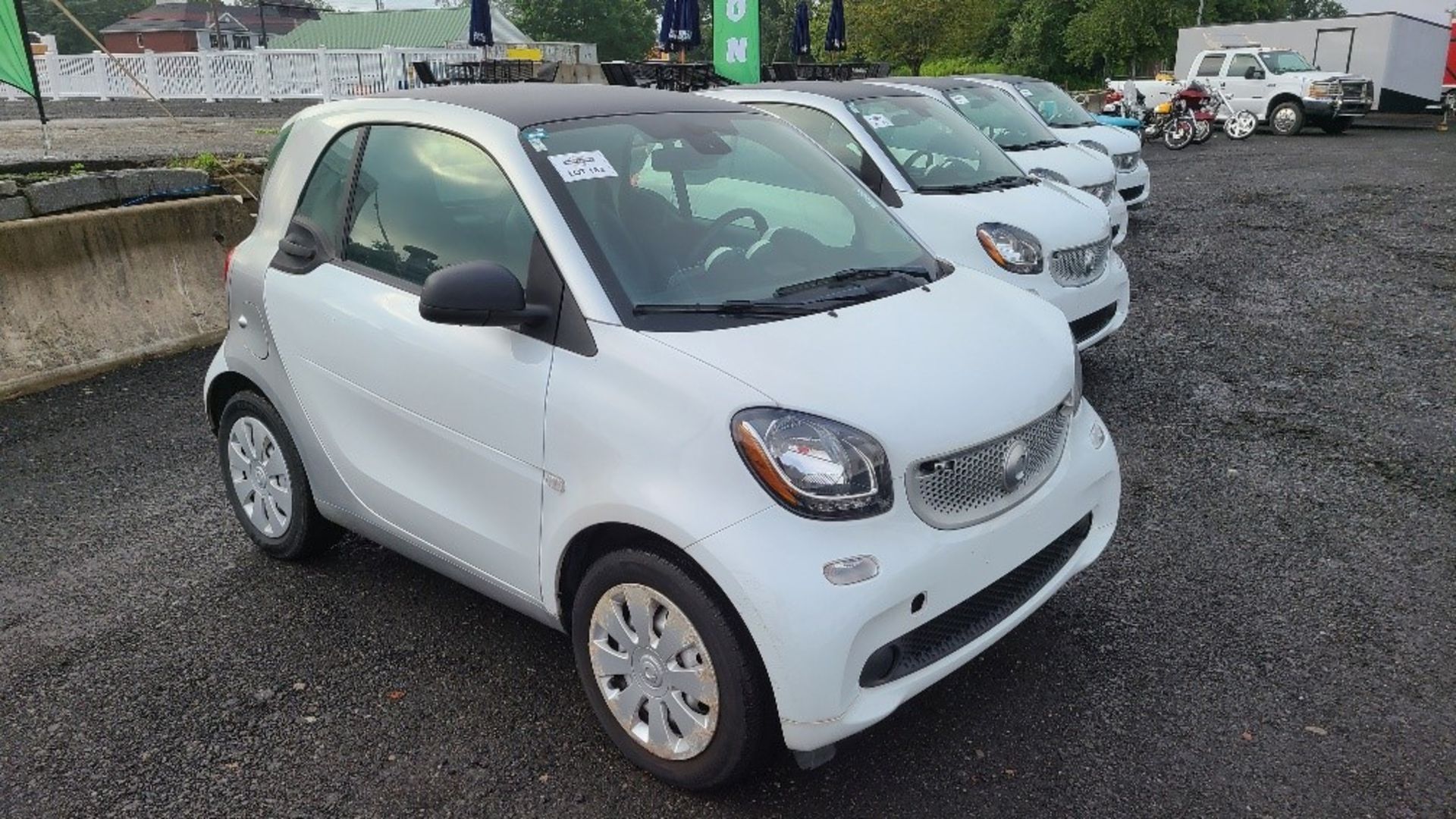 2016 Smart Cat Fourtwo