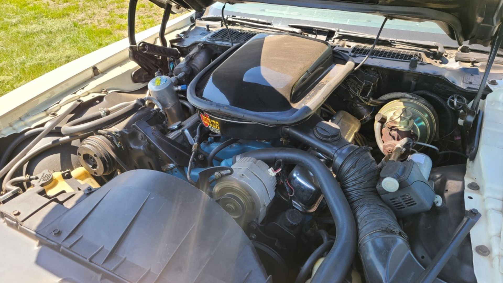 1978 Pontiac Trans Am - Image 12 of 12