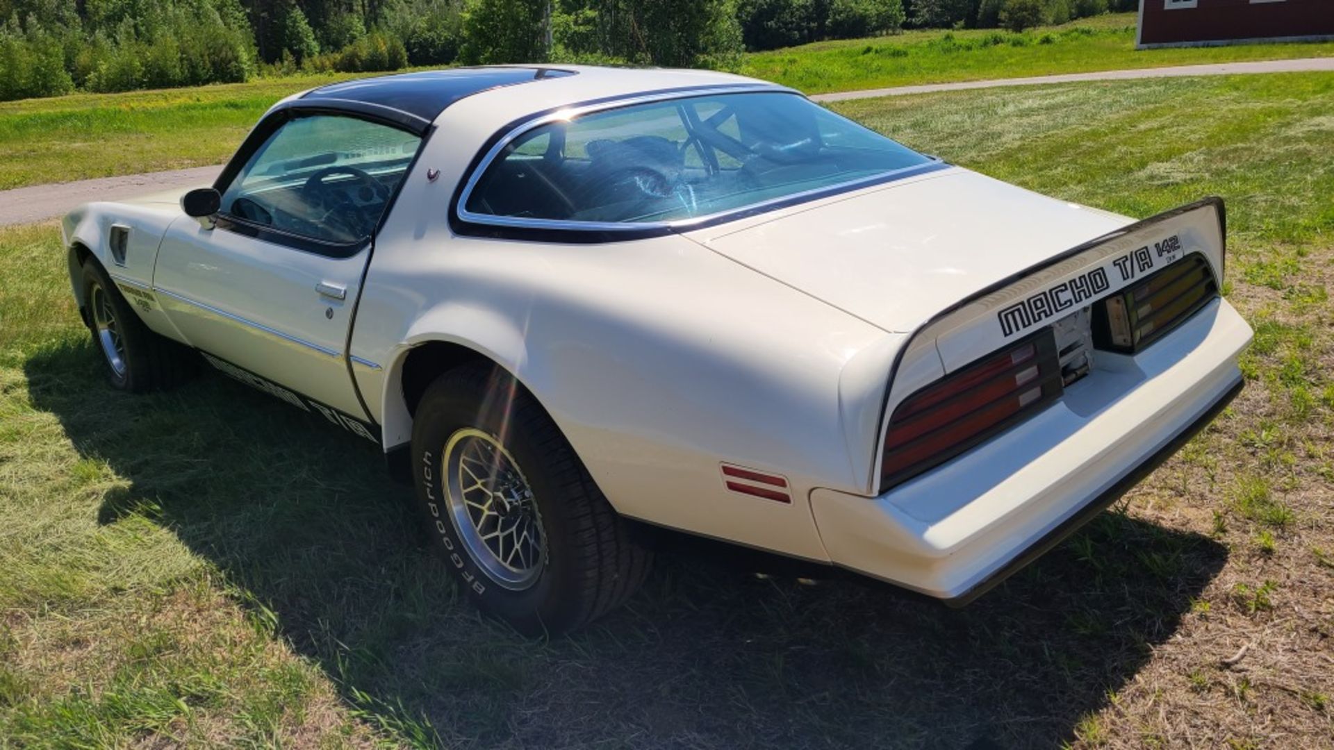 1978 Pontiac Trans Am - Image 6 of 12