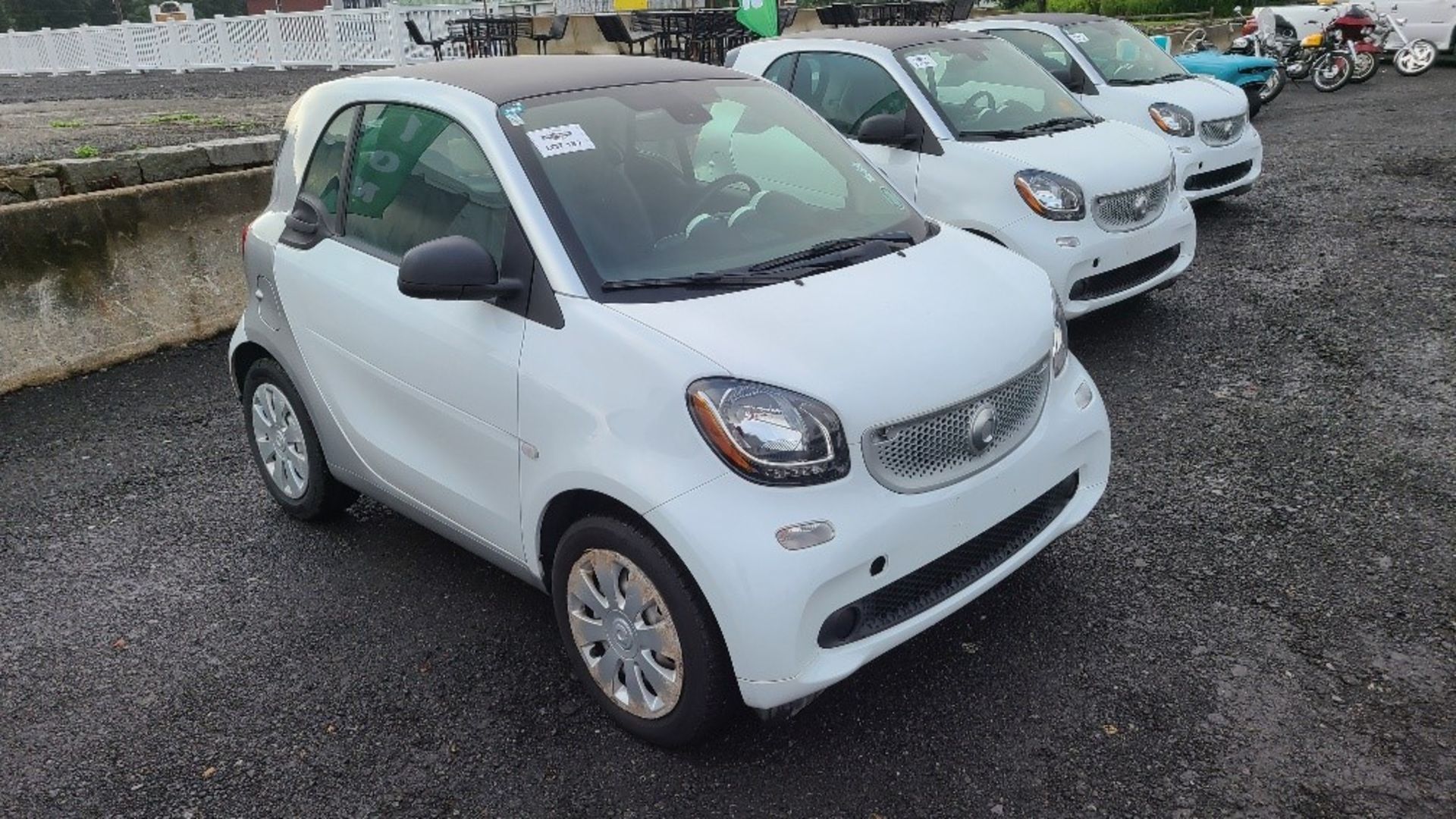 2016 Smart Cat Fourtwo