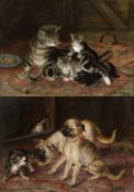 Weber, O. Junge Hunde und Katzen. 2 Gem. Öl/Holz. Sign. Bis 16 x 22 cm. Gerahmt.