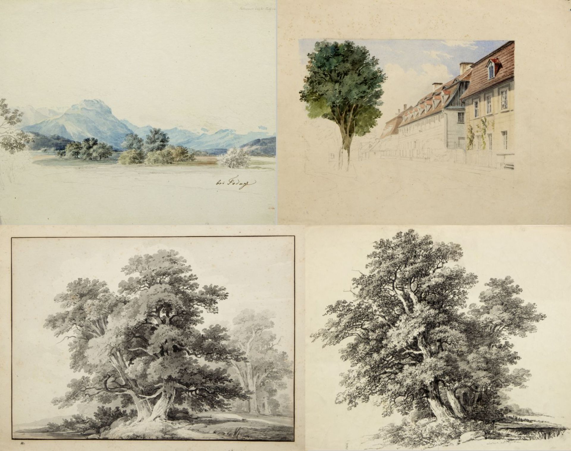 Kunkler, Adolf. 1792 - Gnadenberg bei Bunzlau - 1866 Bäume. Straße. 1 Tuschpinselzeichn. 2 aquarelli