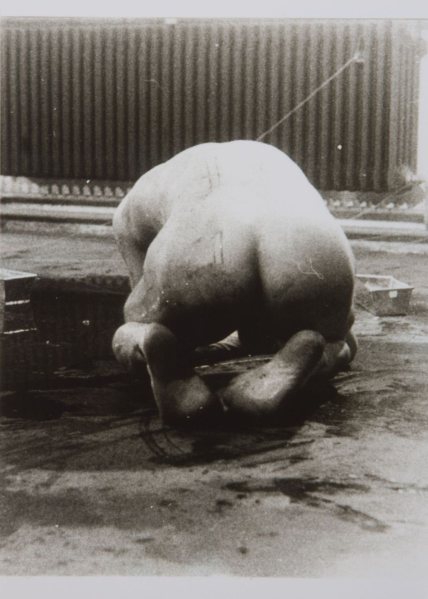 Brus, Günter. 1938 16 Photographien aus der Aktion Zerreißprobe, Aktionsraum München (1970). 1 Plaka