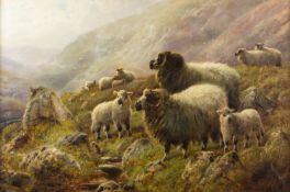 Watson, William. 1831 - 1921 Highland sheep. Öl/Lwd. Sign. 61 x 92 cm. Gerahmt.