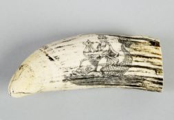 Scrimshaw Pottwahlzahn. Gravurdekor mit Darstellung einer Meerjungfrau auf Delfin. L. 16,5 cm.