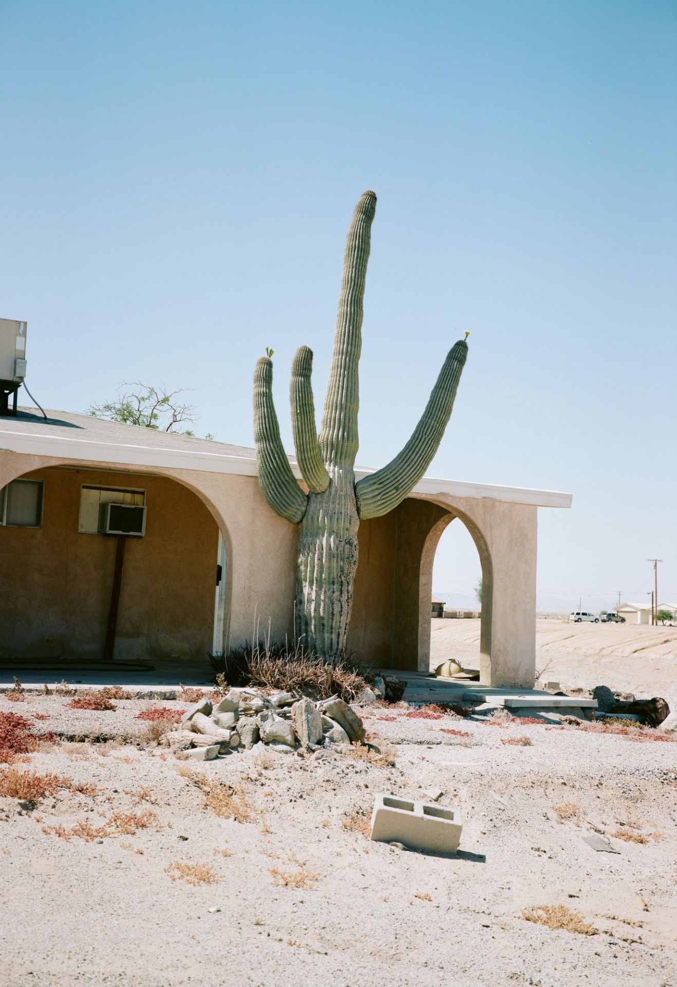 Christian Werner : Wasteland (Salton Sea) (2019)