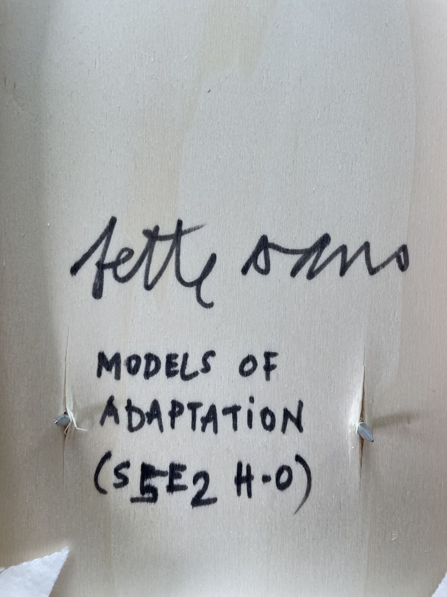 Fette Sans: Models of Adaptation, (S5-E2 H-0) (2021) - Image 2 of 2