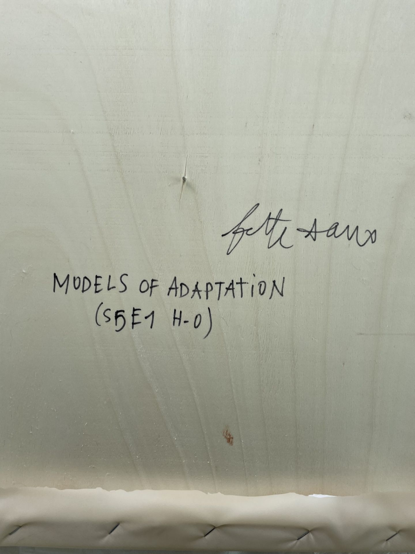 Fette Sans: Models of Adaptation, (S5-E1 H-0) (2021) - Image 3 of 3