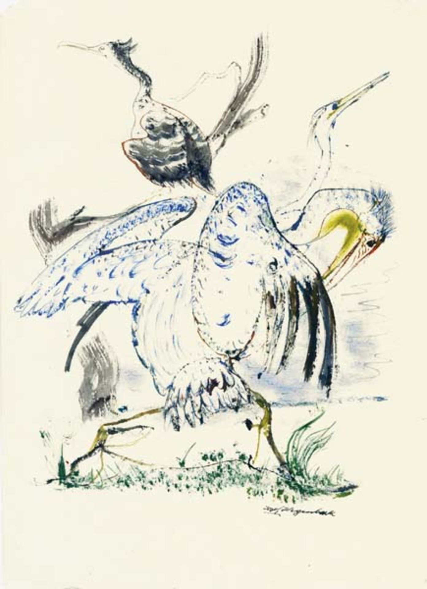 Hegenbarth, Josef. Pelikan und Wasservögel