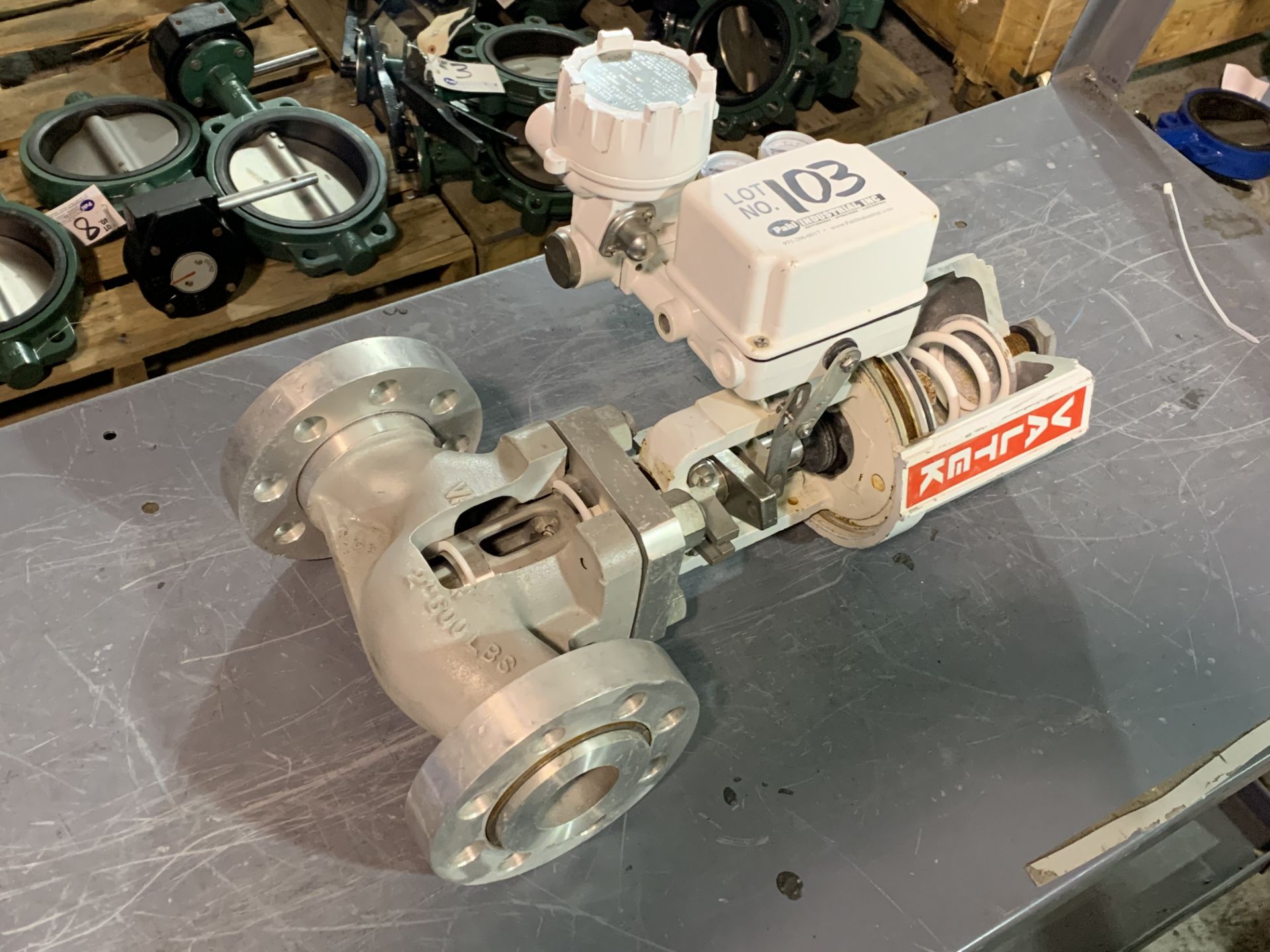 Valtek 2" 600PSI Plug Valve