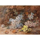 Vincent Clare (1855-1930) British. Still Life of Flowers on a Bank, Watercolour, Signed, 4.5” x