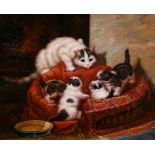 P… Martin (20th Century) Continental. Kittens at Play in a Basket, Oil on Panel, Signed, 7.75” x 10”