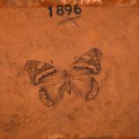 Laurence Biddle (1888-1968) British. Study of a Butterfly, Pencil, Signed and Stamped 1896,