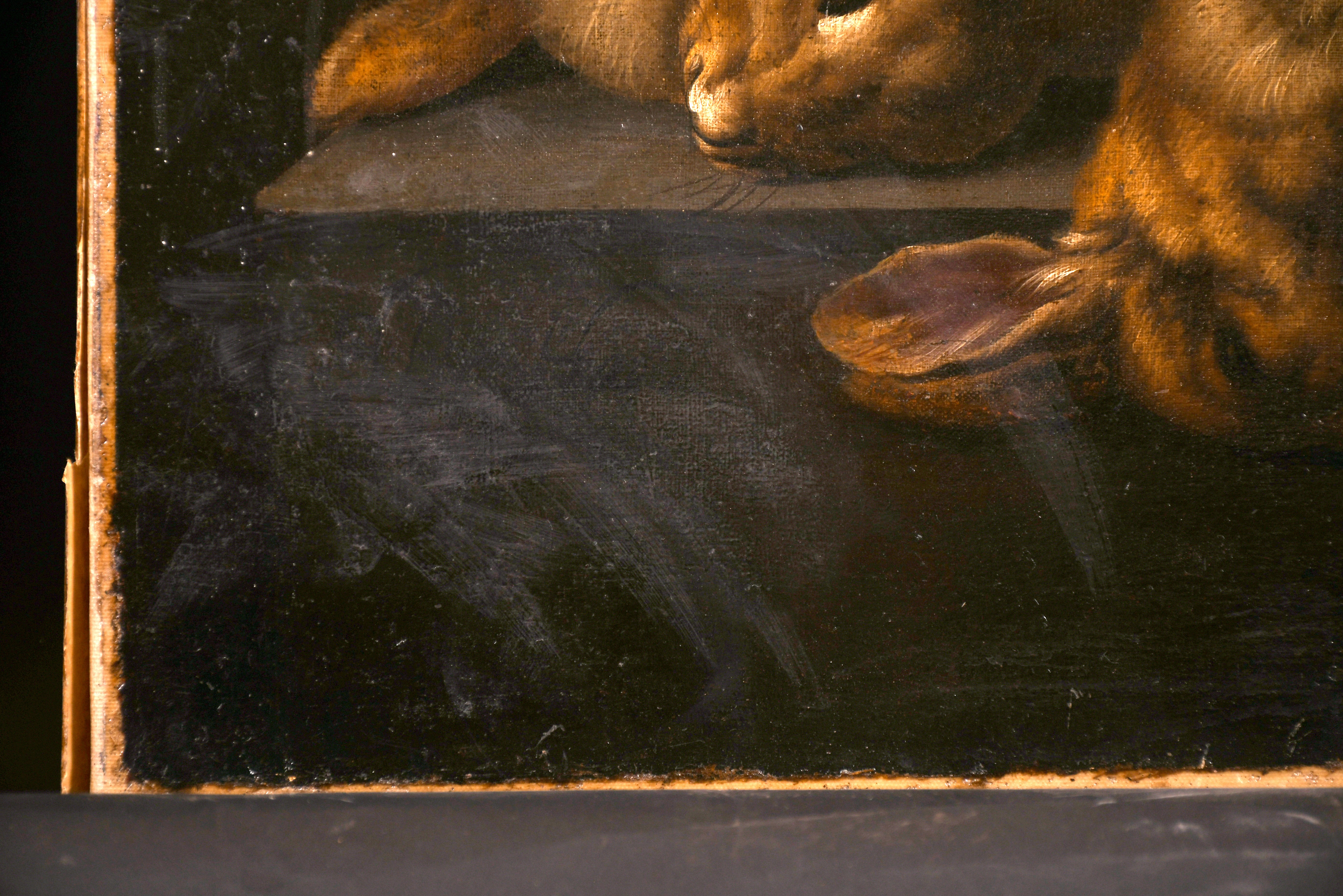 Jacobus Van Der Hagen (1657-1715) Dutch. Still Life of Two Rabbits and a Bird, Oil on Canvas, - Image 3 of 4