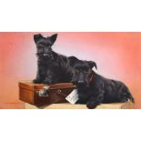 Fitzpatrick (20th Century) British. Study of two Scottish Terriers, Watercolour over Photographic